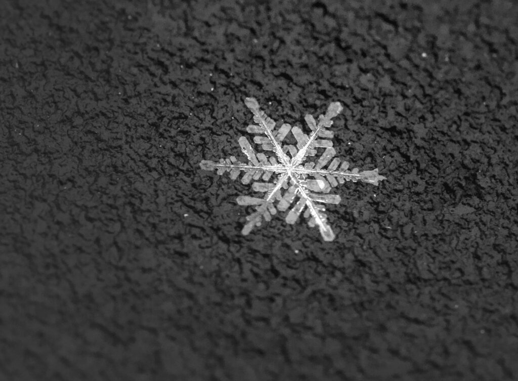 Schneeflocke